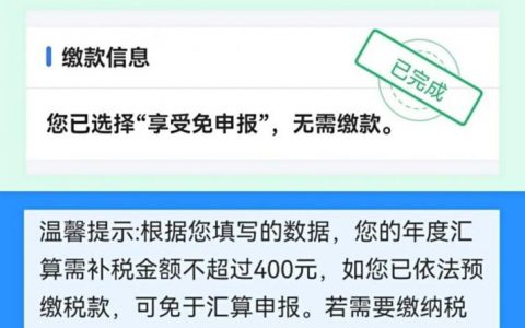 個人所得稅申報軟件(個人所得稅申報軟件客服電話)