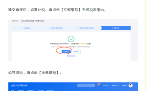 申報個人所得稅(申報個人所得稅專項附加扣除)