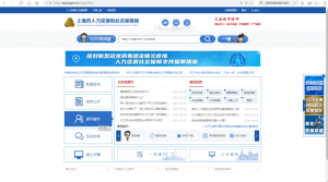 查個人所得稅(查個人所得稅電話是多少)