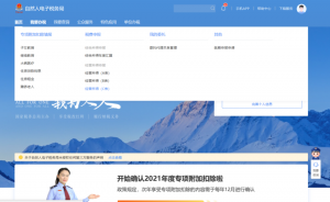 申報個人所得稅(申報個人所得稅時間)