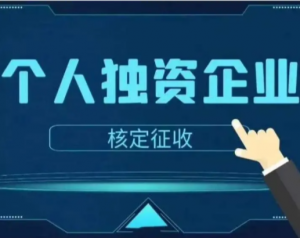 獨資企業個人所得稅(獨資企業個人所得稅申報)