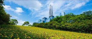 深圳公積金計算(深圳公積金計算方式)