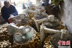 個稅計算器北京(個稅計算器北京2021)