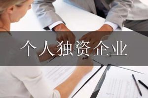 獨資企業個人所得稅(獨資企業個人所得稅申報)