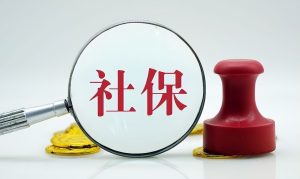 個人所得稅社保(個人所得稅申報對個人有什么影響)