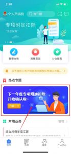申報個人所得稅(申報個人所得稅什么意思)