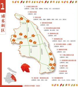 個稅計算器 上海
