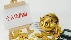 金稅個人所得稅(金稅個人所得稅申報完已經繳費還可以退回嗎)