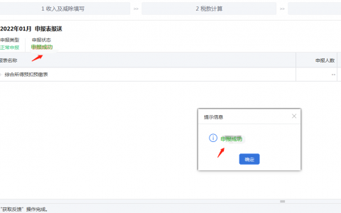個人所得稅怎么申報(個人所得稅怎么申報租房)