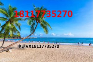 個人所得稅證明(北京個人所得稅證明)