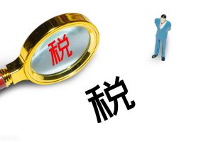 個人所得稅返稅(個人所得稅返稅給個人)