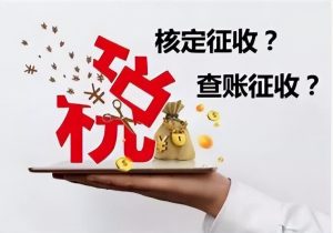 獨資企業個人所得稅(獨資企業個人所得稅申報)
