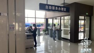 個人所得稅怎么查(個人所得稅怎么查社保繳納情況)