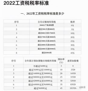 補(bǔ)繳個(gè)人所得稅(沒錢補(bǔ)繳個(gè)人所得稅)