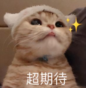 個稅稅率調(diào)高(降低個稅最高稅率)