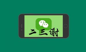 個人所得稅返稅(個人所得稅返稅給個人)