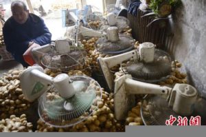 個(gè)人所得稅扣(個(gè)人所得稅扣繳義務(wù)人)