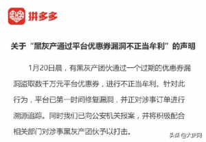 拼多多二維碼優(yōu)惠券(拼多多商品優(yōu)惠券)