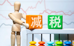 員工個人所得稅(員工個人所得稅由公司承擔)