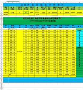 武漢個稅計算(武漢工資個人所得稅怎么算)