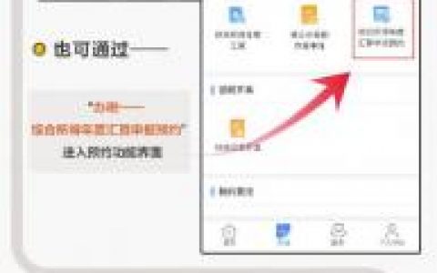 個人所得稅app官網(個人所得稅app官方網站下載)