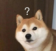 拼多多提現兌換優惠碼(拼多多提現變兌換)