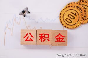 公積金貸款計算(公積金貸款計算器2022最新版)