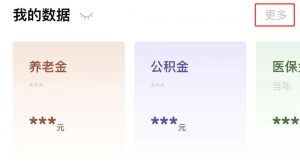 個人所得稅怎么查詢(微信查個人所得稅怎么查詢)