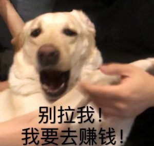 提前還房貸計算器(提前還房貸計算器在線計算明細)