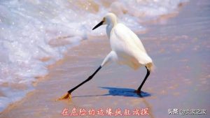 亞馬遜優惠碼在(亞馬遜優惠碼在哪里填)
