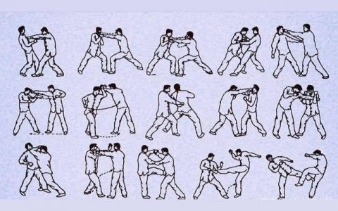 洪拳-洪拳十二橋手可以自學嗎