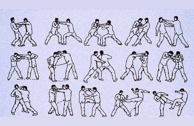 洪拳-洪拳十二橋手可以自學(xué)嗎