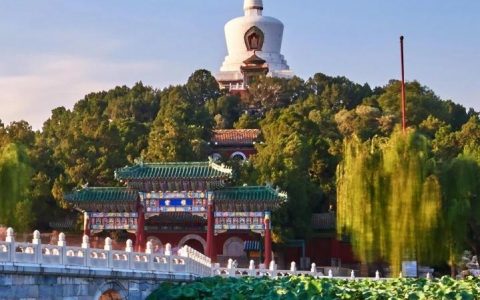 在線讀書網-世界名著從哪個網能看