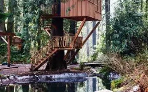 木屋建造-如何在野外里搭建一個小木屋