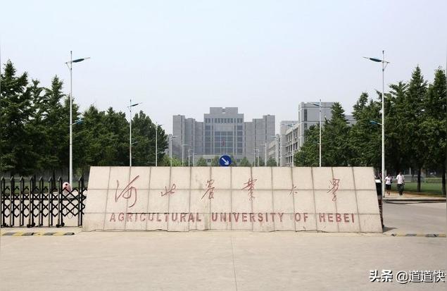 河北農大網-河北農業大學與河北地質大學比較插圖