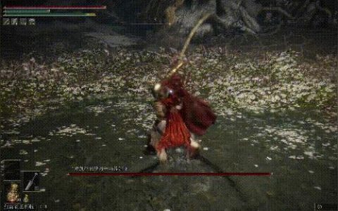 艾爾登法環 神秘質變-艾爾登法環刺客厲害嗎