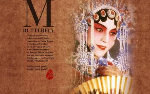 蝴蝶君-蝴蝶君大結局什么意思