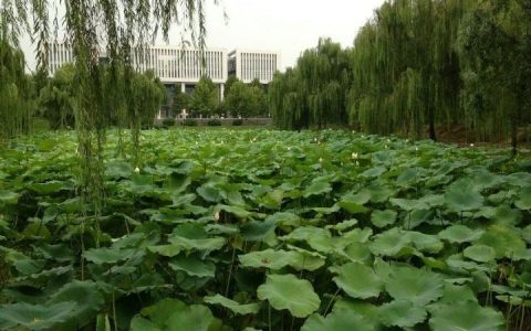 邯鄲學院網-邯鄲學院的專科有什么