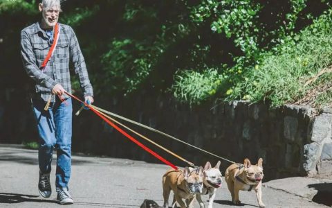 零壓房-多少工資可以在北京生活的沒有壓力