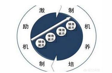 體制和機制的區別-政治制度和經濟制度的區別