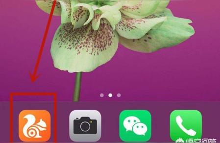 如何查看iphone的ip地址-蘋果怎么查型號是ip幾