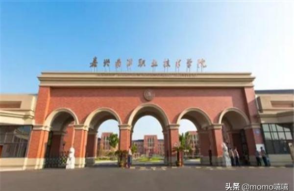 浙江同濟科技職業-2022年浙江單招單考總分是多少插圖