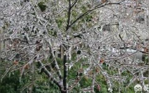 九江學(xué)院網(wǎng)-九江學(xué)院是省辦的嗎