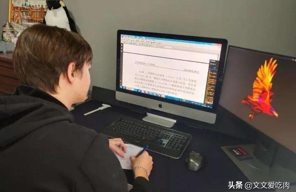 原神飛行駕照怎么考-小飛機駕照報考啥條件