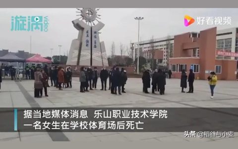 樂山職業技術學院護理系-樂山技工學校怎么樣