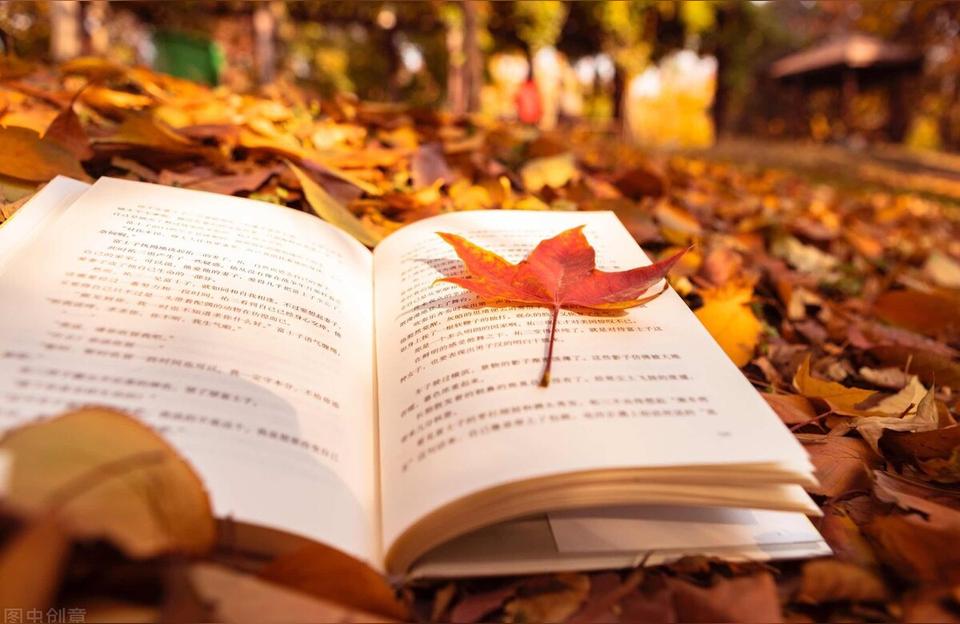 圖書在線閱讀-各位大佬能麻煩推薦幾本文史類書籍嗎插圖