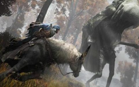 艾爾登法環 已經回天乏術-艾爾登法環1060能流暢運行嗎