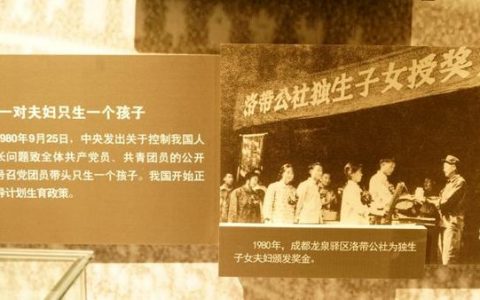 計劃生育是從哪一年開始的-國家是哪一年開始實施二胎生育為了什么