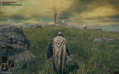 艾爾登法環白影是什么-艾爾登法環武士還是觀星者