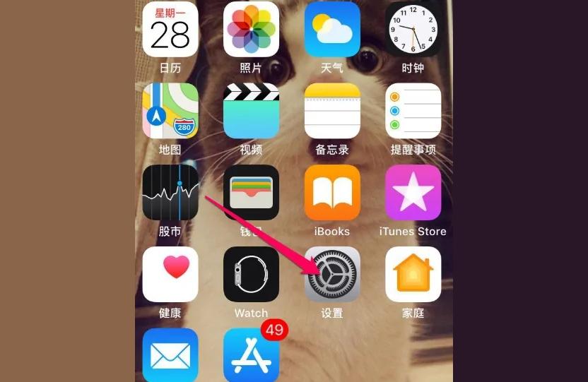iphone如何分屏操作-蘋果相機(jī)怎么分屏